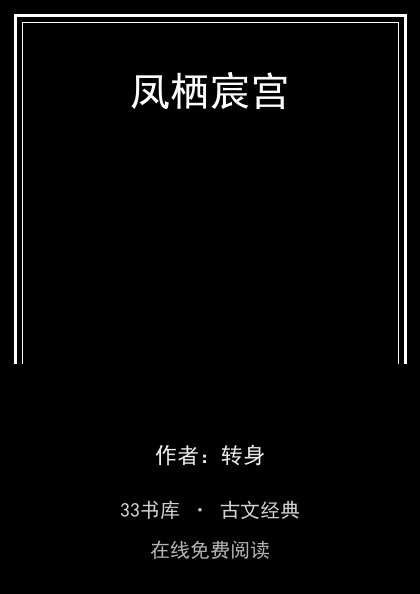 凤栖宸宫封面
