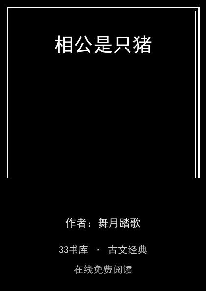 相公是只猪封面