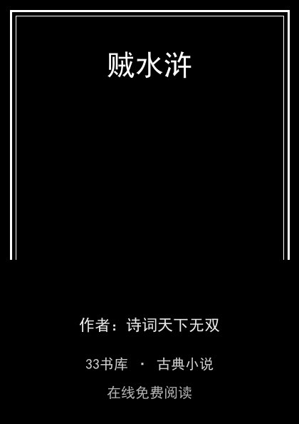 贼水浒封面