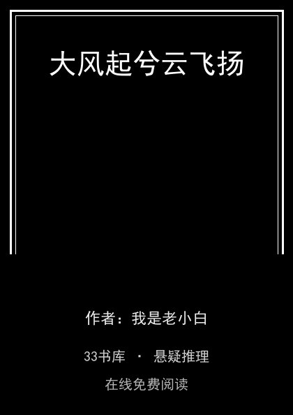 大风起兮云飞扬封面
