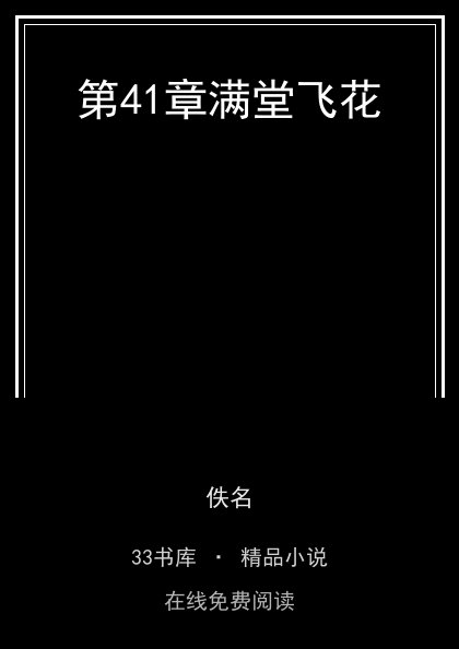 第41章满堂飞花封面