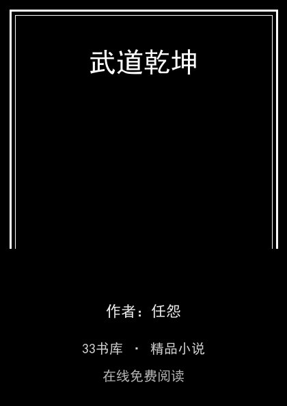武道乾坤封面