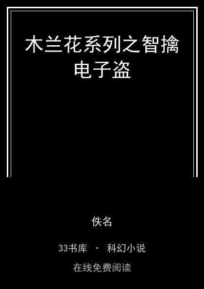 木兰花系列之智擒电子盗 封面