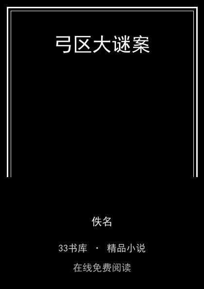弓区大谜案封面