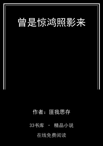 曾是惊鸿照影来 封面