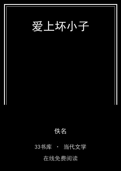 爱上坏小子封面