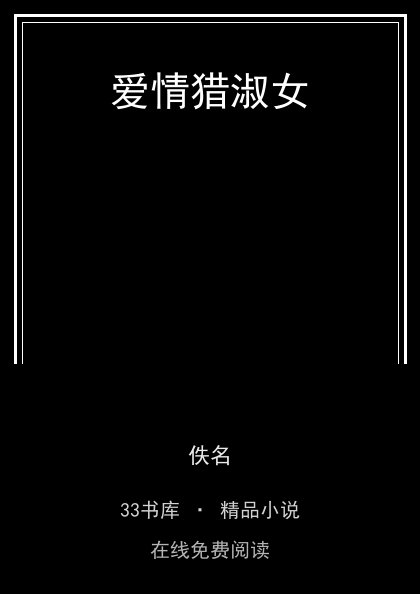 爱情猎淑女封面