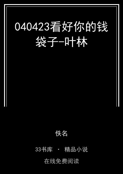 040423看好你的钱袋子-叶林封面
