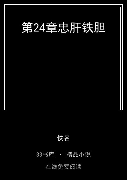 第24章忠肝铁胆封面