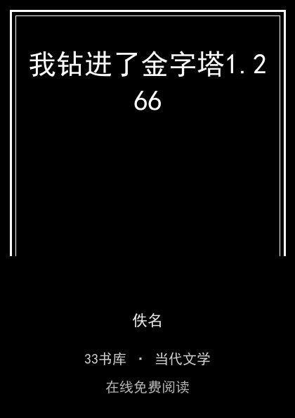 我钻进了金字塔 封面