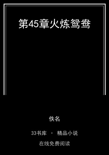 第45章火炼鸳鸯封面