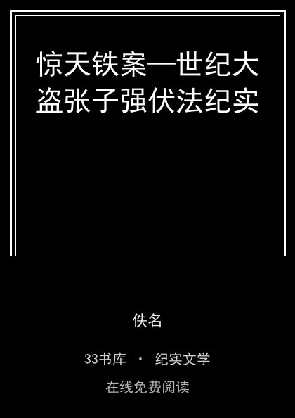 惊天铁案—世纪大盗张子强伏法纪实 封面
