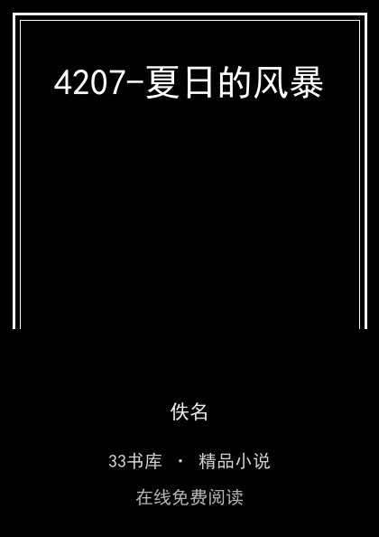 4207-夏日的风暴封面