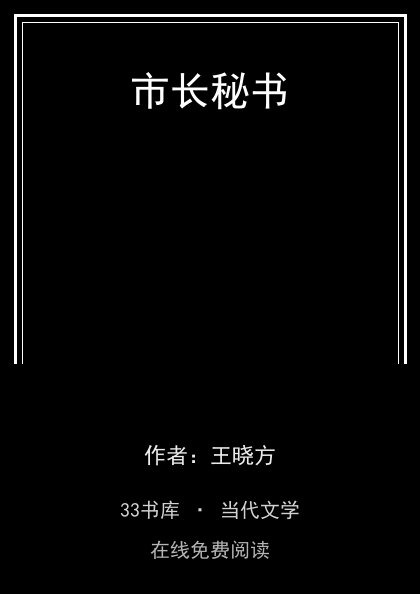 市长秘书封面