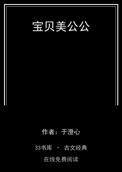 宝贝美公公 封面
