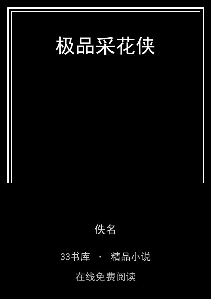 极品采花侠封面