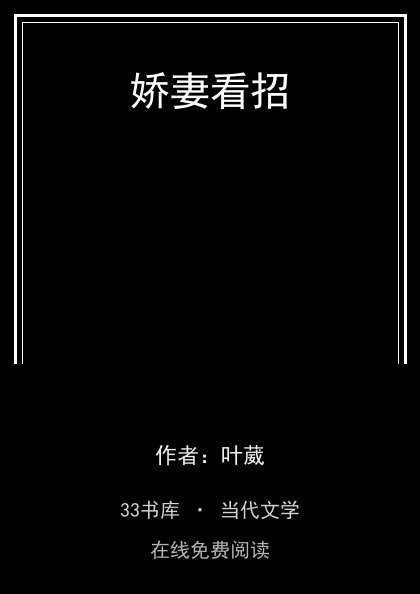 娇妻看招 封面