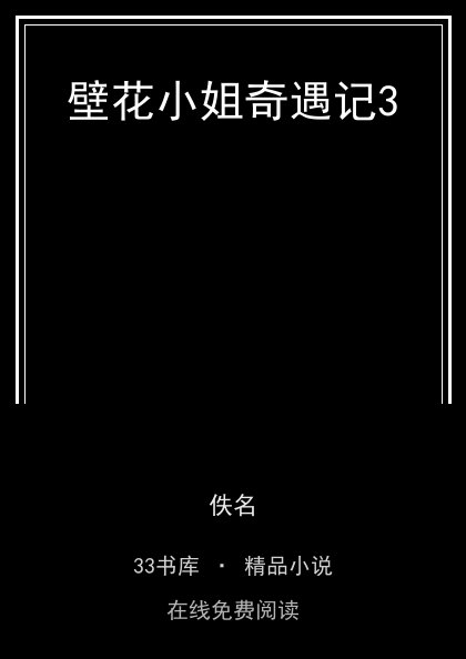 壁花小姐奇遇记3 封面