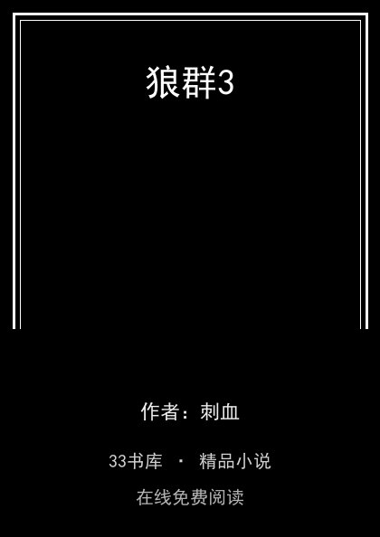 狼群3 封面
