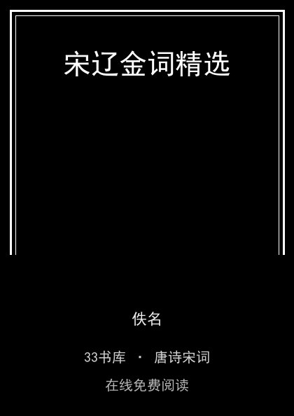 宋辽金词精选封面