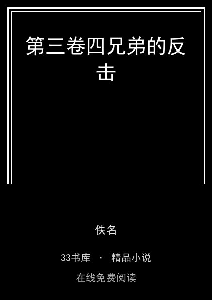 第三卷四兄弟的反击封面
