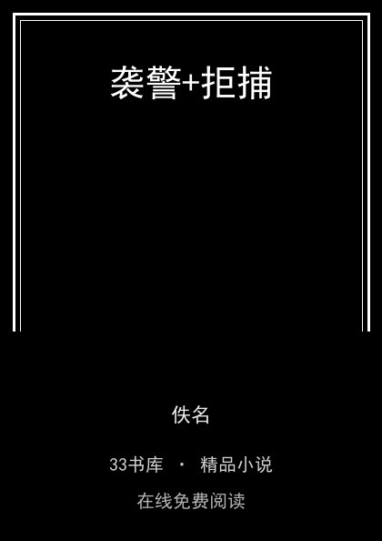 袭警+拒捕 封面