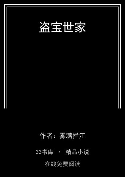 盗宝世家封面