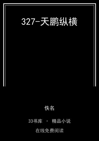 327-天鹏纵横 封面
