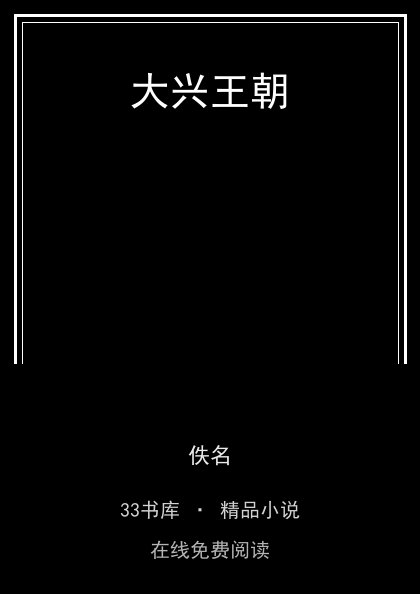 大兴王朝封面