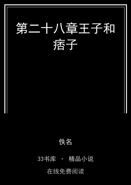 第二十八章王子和痞子封面