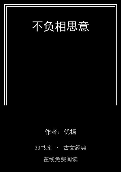 不负相思意封面