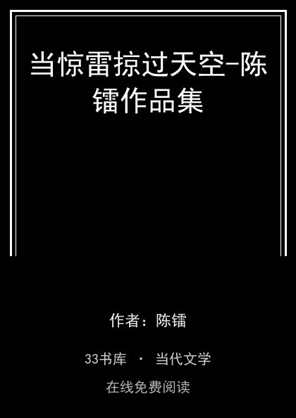 当惊雷掠过天空-陈镭作品集封面