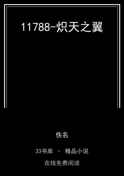 11788-炽天之翼 封面