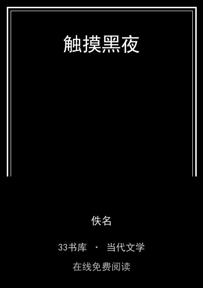 触摸黑夜 封面