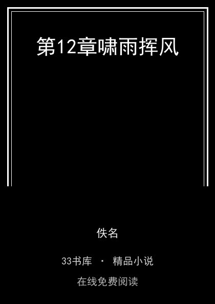 第12章啸雨挥风封面