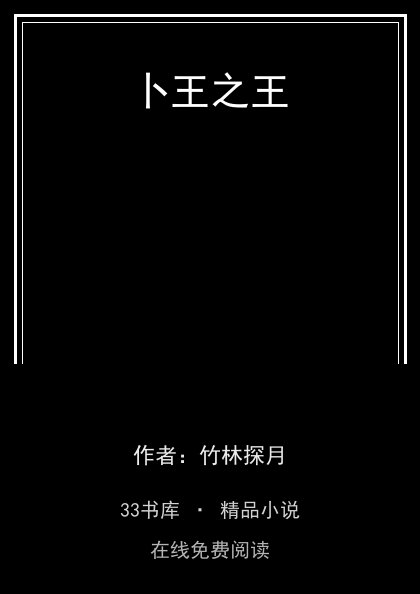 卜王之王封面