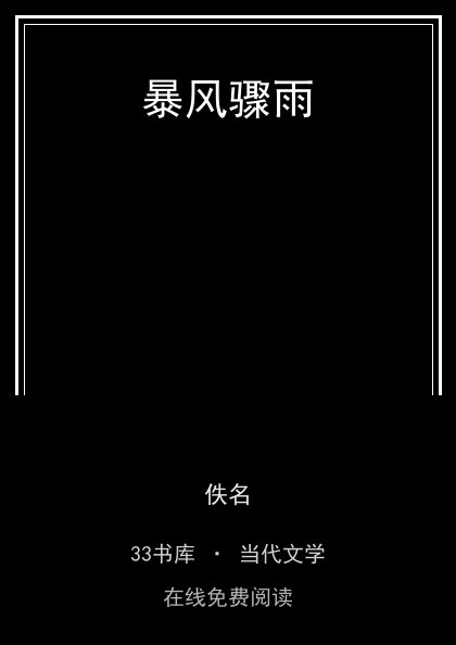 暴风骤雨 封面