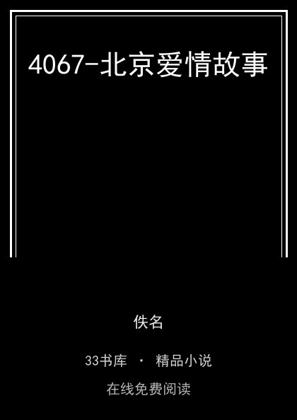 4067-北京爱情故事封面