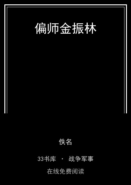 偏师金振林封面