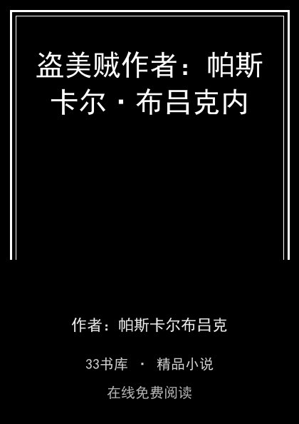 盗美贼作者：帕斯卡尔·布吕克内封面
