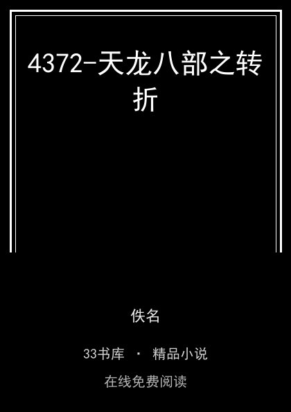 4372-天龙八部之转折封面