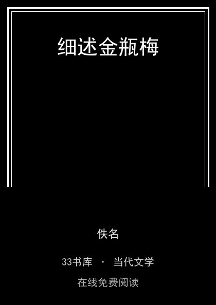 细述金瓶梅 封面
