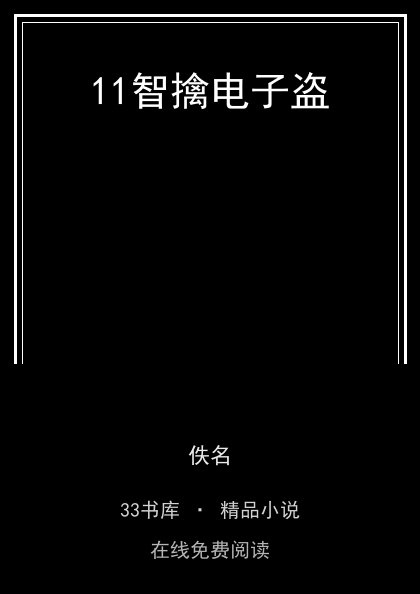 11智擒电子盗封面