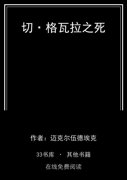 切·格瓦拉之死 封面
