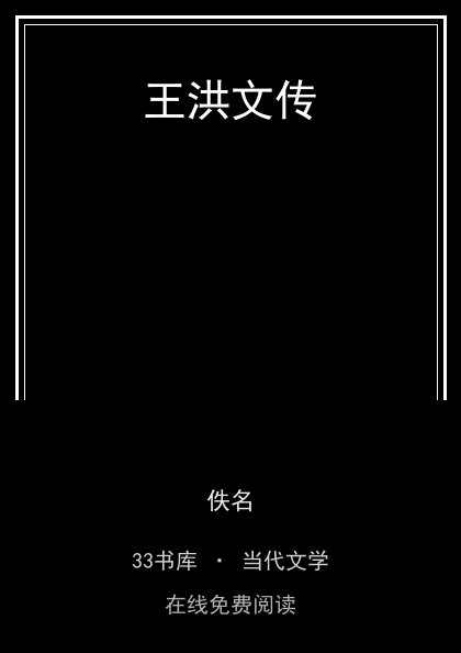王洪文传封面