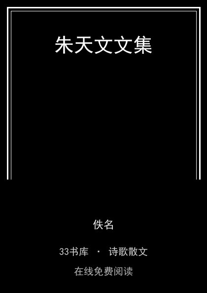 朱天文文集封面