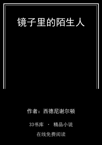 镜子里的陌生人封面