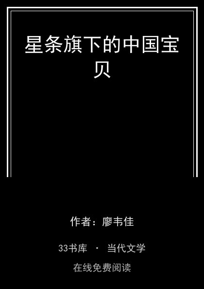 星条旗下的中国宝贝封面