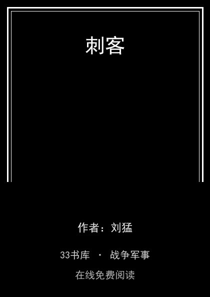 刺客封面