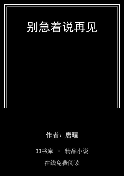 别急着说再见封面